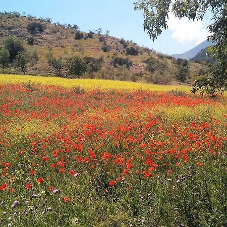 Magina Dream La Guardia Turismo Rural La Guardia de Jaén Dış mekan fotoğraf